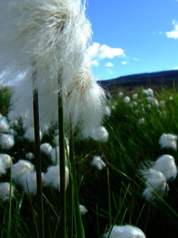 Solvanes Farmholidays Varmahlid  Bagian luar foto